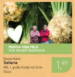 Dornseifer Deutschland Sellerie Angebot