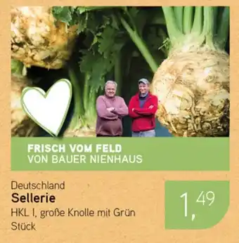 Dornseifer Deutschland Sellerie Angebot