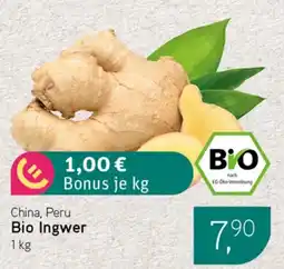 Dornseifer China, Peru Bio Ingwer Angebot