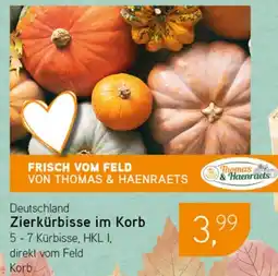 Dornseifer Deutschland Zierkürbisse im Korb Angebot