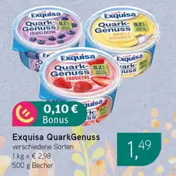 Dornseifer Exquisa QuarkGenuss Angebot