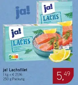Dornseifer ja! Lachsfilet Angebot