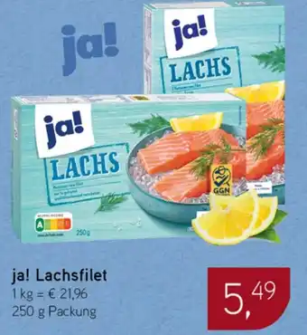 Dornseifer ja! Lachsfilet Angebot