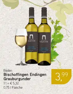 Dornseifer Baden Bischoffingen Endingen Grauburgunder Angebot