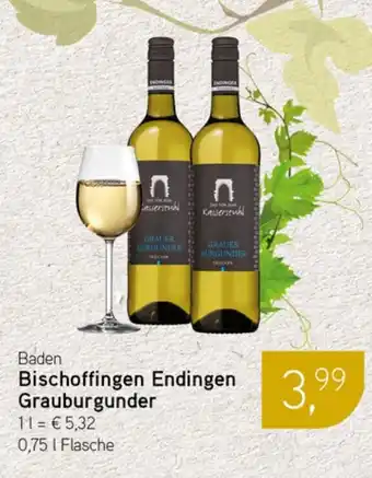 Dornseifer Baden Bischoffingen Endingen Grauburgunder Angebot