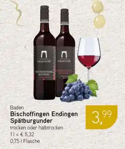 Dornseifer Baden Bischoffingen Endingen Spätburgunder Angebot