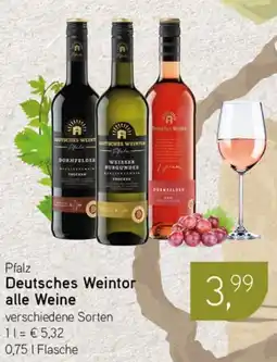 Dornseifer Pfalz Deutsches Weintor alle Weine Angebot