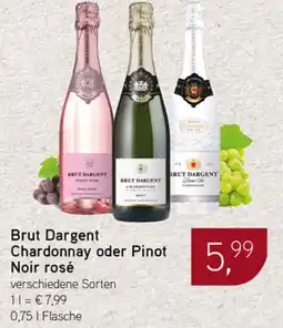Dornseifer Brut Dargent Chardonnay oder Pinot Noir rosé Angebot