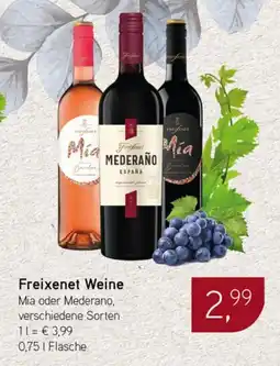 Dornseifer Freixenet Weine Angebot