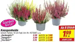 toom Baumarkt Knospenheide Angebot