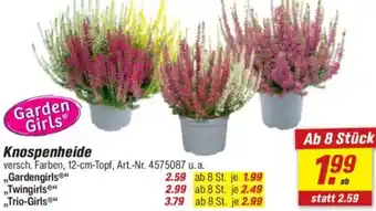 toom Baumarkt Knospenheide Angebot