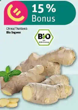 REWE Bio Ingwer Angebot