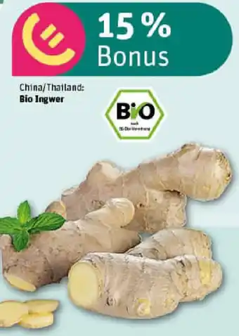 REWE Bio Ingwer Angebot