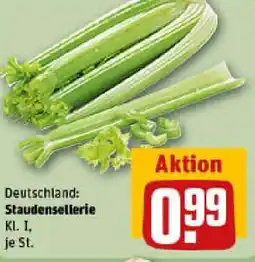 REWE Staudensellerie Angebot