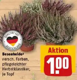 REWE Besenheide Angebot