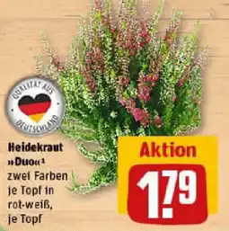 REWE Heidekraut Duo Angebot