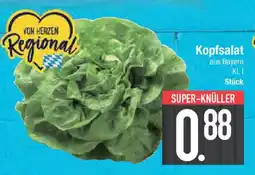 E-Center Kopfsalat Angebot