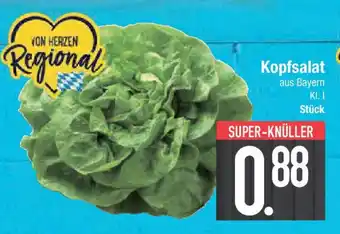E-Center Kopfsalat Angebot