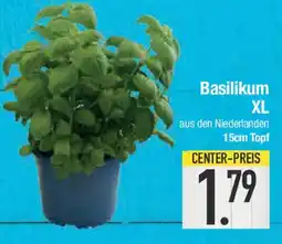 E-Center Basilikum XL Angebot