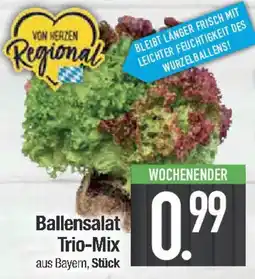 E-Center Ballensalat Trio-Mix Angebot