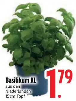 Edeka Basilikum XL Angebot