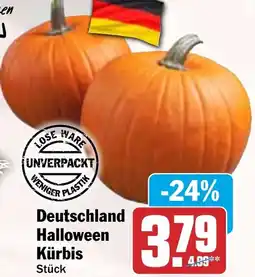 HIT Deutschland Halloween Kürbis Angebot