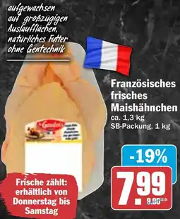 HIT Französisches frisches Maishähnchen Angebot