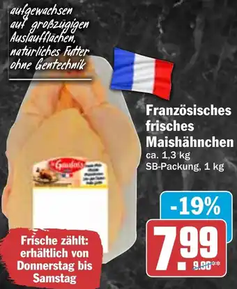 HIT Französisches frisches Maishähnchen Angebot