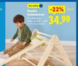 Lidl Playtive Kletterdreieck Angebot