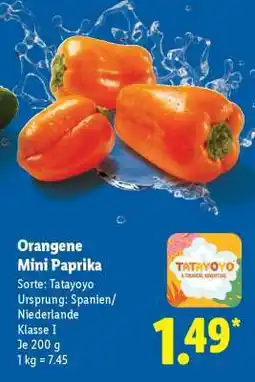 Lidl Orangene Mini Paprika Angebot