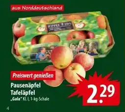 Famila Nord Ost Pausenäpfel Tafeläpfel 'Gala' Angebot