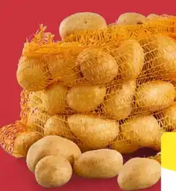 Aldi Nord Speisekartoffeln XXL Angebot