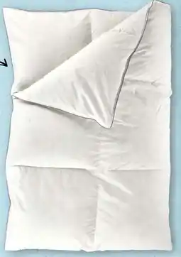 Aldi Nord Novitesse Federn & Daunen Kassettendecke Angebot