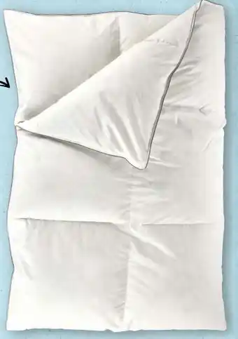Aldi Nord Novitesse Federn & Daunen Kassettendecke Angebot