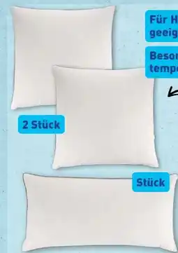 Aldi Nord Novitesse Federn & Daunen Kopfkissen Angebot
