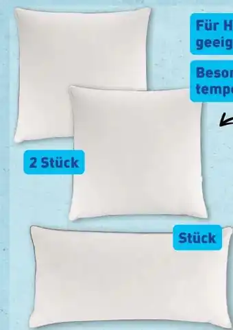 Aldi Nord Novitesse Federn & Daunen Kopfkissen Angebot