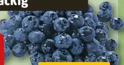 REWE Rewe Beste Wahl Frische-Heidelbeeren Angebot