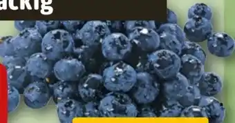 REWE Rewe Beste Wahl Frische-Heidelbeeren Angebot