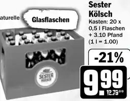 HIT Sester Kölsch Angebot