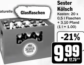 HIT Sester Kölsch Angebot