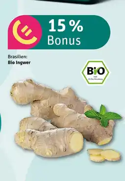 nahkauf Bio ingwer Angebot