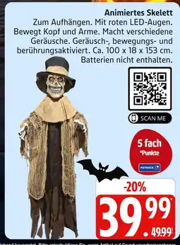 Marktkauf Animiertes skelett Angebot