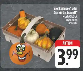E-Center Zierkürbisse Angebot