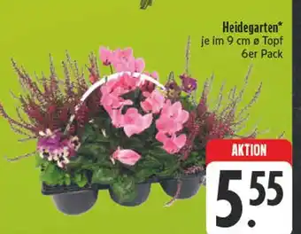Edeka Heidegarten Angebot