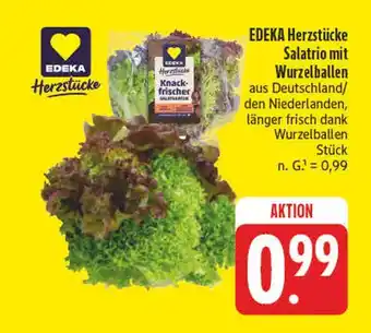 E-Center Edeka herzstücke salatrio mit wurzelballen Angebot