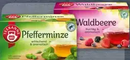 Aldi Nord Teekanne Früchtetee Angebot
