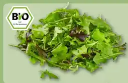 REWE Rewe Bio Crispy Salatmix Angebot