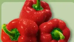 REWE Rote Paprika Angebot