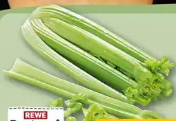 REWE Rewe Regional Staudensellerie Angebot
