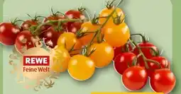 REWE Rewe Feine Welt Mini Cherry Rispentomaten Colore Angebot